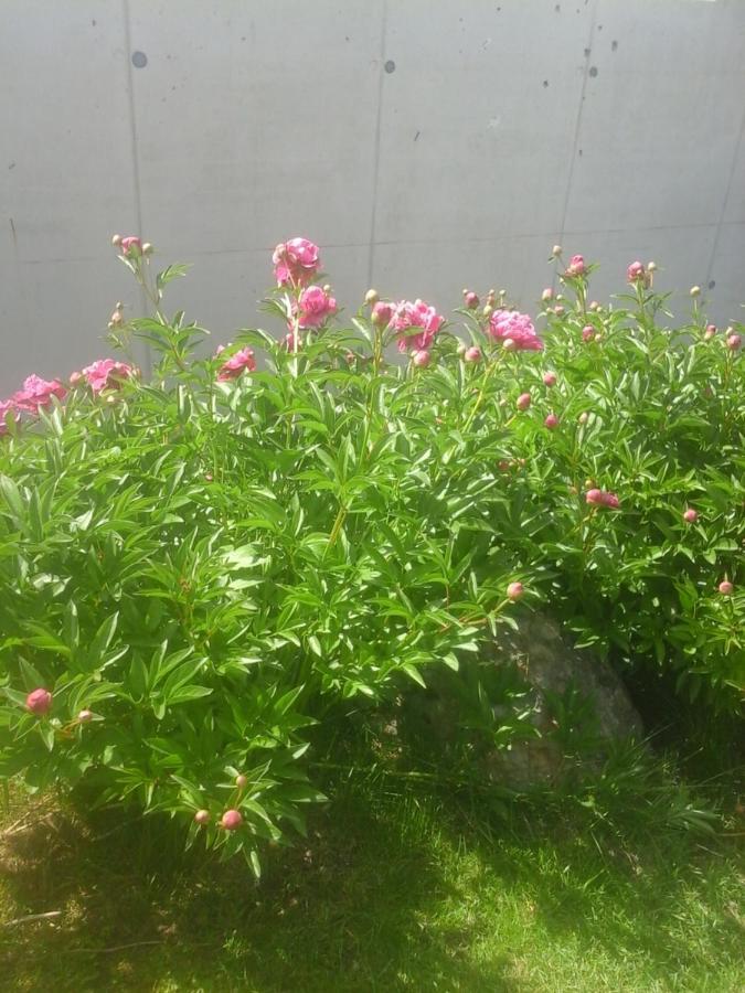 דירות איוגנדורף Reitbergs Nest מראה חיצוני תמונה