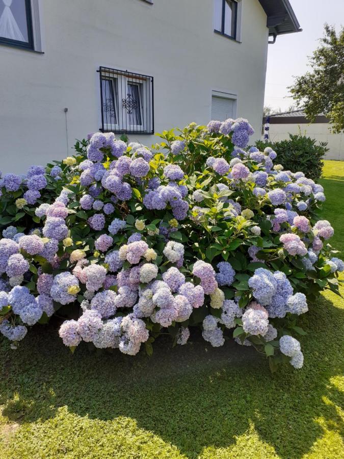 דירות איוגנדורף Reitbergs Nest מראה חיצוני תמונה